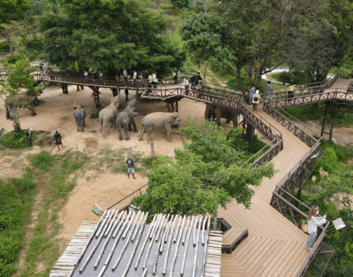 Слоновий заповедник Elephant Kingdom (3).png