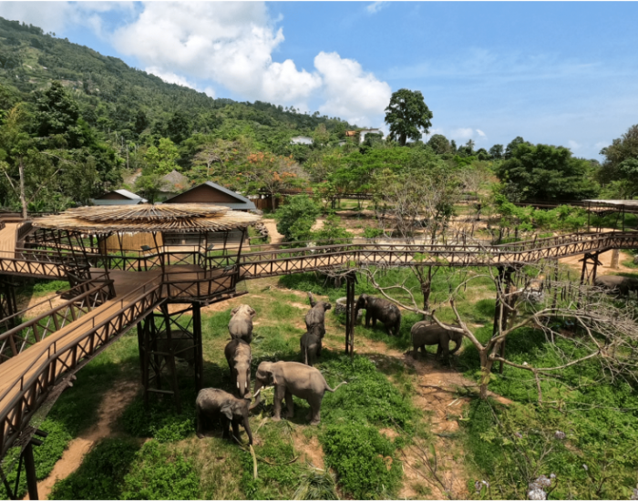 Слоновий заповедник Elephant Kingdom (2).png